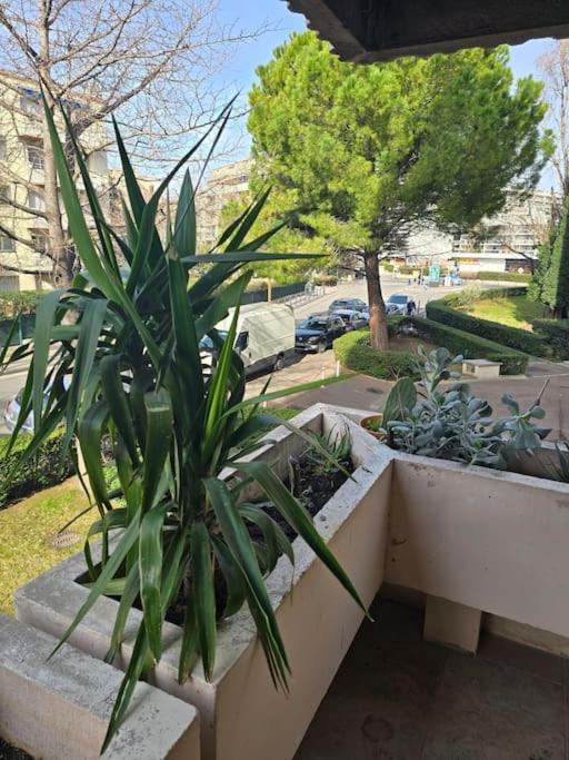 L'Appart' Marsiglia Esterno foto